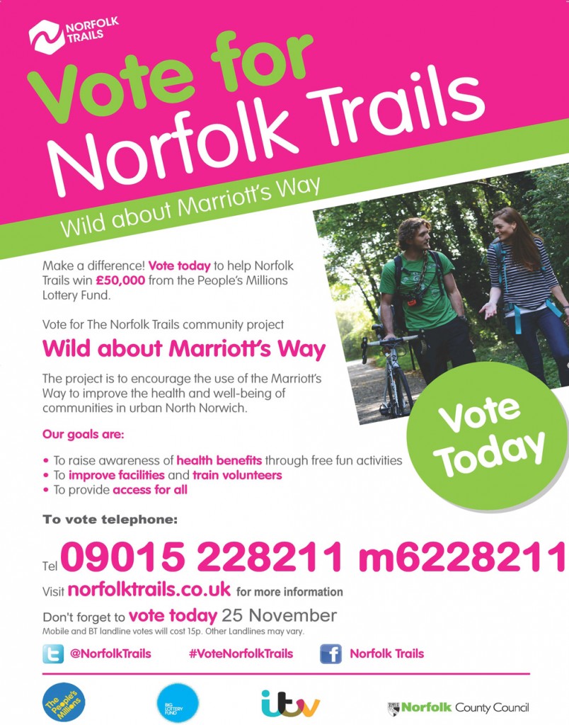 Vote for Norfolk Trails (On the Day) A3 Poster V2